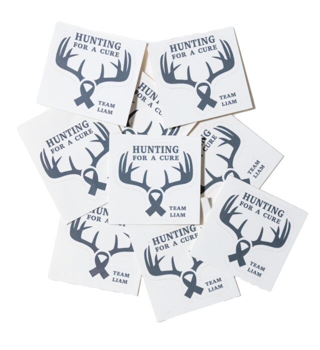 Team Liam - Hunting for a Cure Sticker Thumbnail