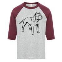 ATC EUROSPUN RING SPUN BASEBALL YOUTH TEE Thumbnail