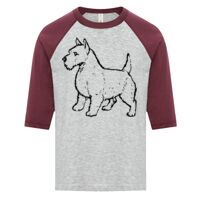 ATC EUROSPUN RING SPUN BASEBALL YOUTH TEE Thumbnail