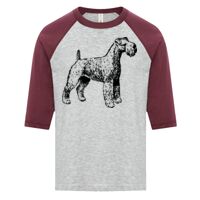 ATC EUROSPUN RING SPUN BASEBALL YOUTH TEE Thumbnail