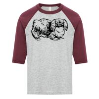 ATC EUROSPUN RING SPUN BASEBALL YOUTH TEE Thumbnail