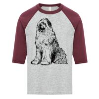 ATC EUROSPUN RING SPUN BASEBALL YOUTH TEE Thumbnail