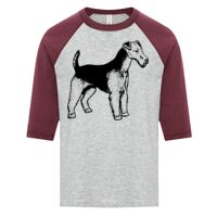 ATC EUROSPUN RING SPUN BASEBALL YOUTH TEE Thumbnail