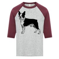 ATC EUROSPUN RING SPUN BASEBALL YOUTH TEE Thumbnail