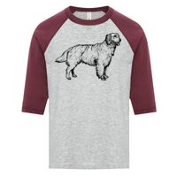 ATC EUROSPUN RING SPUN BASEBALL YOUTH TEE Thumbnail