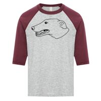 ATC EUROSPUN RING SPUN BASEBALL YOUTH TEE Thumbnail