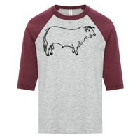 ATC EUROSPUN RING SPUN BASEBALL YOUTH TEE Thumbnail