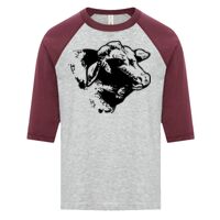 ATC EUROSPUN RING SPUN BASEBALL YOUTH TEE Thumbnail