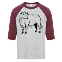 ATC EUROSPUN RING SPUN BASEBALL YOUTH TEE Thumbnail