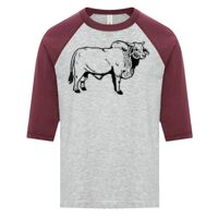 ATC EUROSPUN RING SPUN BASEBALL YOUTH TEE Thumbnail