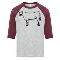 ATC EUROSPUN RING SPUN BASEBALL YOUTH TEE Thumbnail