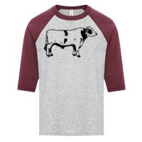 ATC EUROSPUN RING SPUN BASEBALL YOUTH TEE Thumbnail