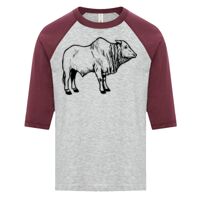 ATC EUROSPUN RING SPUN BASEBALL YOUTH TEE Thumbnail