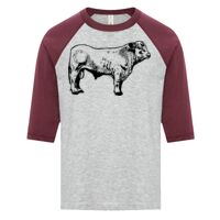 ATC EUROSPUN RING SPUN BASEBALL YOUTH TEE Thumbnail