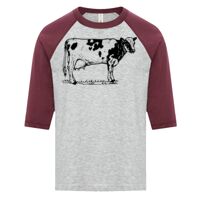 ATC EUROSPUN RING SPUN BASEBALL YOUTH TEE Thumbnail