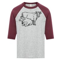 ATC EUROSPUN RING SPUN BASEBALL YOUTH TEE Thumbnail