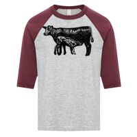 ATC EUROSPUN RING SPUN BASEBALL YOUTH TEE Thumbnail