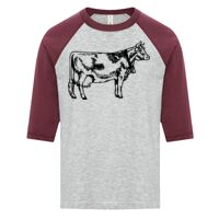 ATC EUROSPUN RING SPUN BASEBALL YOUTH TEE Thumbnail