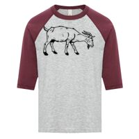 ATC EUROSPUN RING SPUN BASEBALL YOUTH TEE Thumbnail