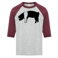 ATC EUROSPUN RING SPUN BASEBALL YOUTH TEE Thumbnail