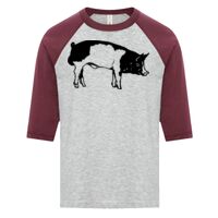 ATC EUROSPUN RING SPUN BASEBALL YOUTH TEE Thumbnail