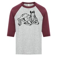 ATC EUROSPUN RING SPUN BASEBALL YOUTH TEE Thumbnail