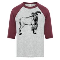 ATC EUROSPUN RING SPUN BASEBALL YOUTH TEE Thumbnail