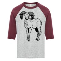 ATC EUROSPUN RING SPUN BASEBALL YOUTH TEE Thumbnail