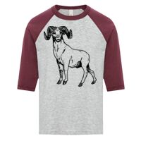 ATC EUROSPUN RING SPUN BASEBALL YOUTH TEE Thumbnail