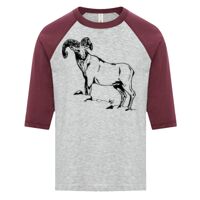 ATC EUROSPUN RING SPUN BASEBALL YOUTH TEE Thumbnail