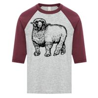 ATC EUROSPUN RING SPUN BASEBALL YOUTH TEE Thumbnail