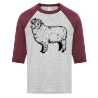 ATC EUROSPUN RING SPUN BASEBALL YOUTH TEE Thumbnail