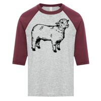 ATC EUROSPUN RING SPUN BASEBALL YOUTH TEE Thumbnail