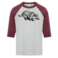 ATC EUROSPUN RING SPUN BASEBALL YOUTH TEE Thumbnail