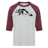 ATC EUROSPUN RING SPUN BASEBALL YOUTH TEE Thumbnail