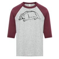 ATC EUROSPUN RING SPUN BASEBALL YOUTH TEE Thumbnail