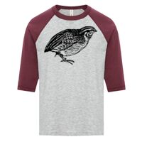 ATC EUROSPUN RING SPUN BASEBALL YOUTH TEE Thumbnail