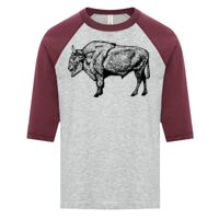 ATC EUROSPUN RING SPUN BASEBALL YOUTH TEE Thumbnail