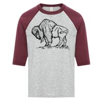 ATC EUROSPUN RING SPUN BASEBALL YOUTH TEE Thumbnail