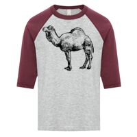 ATC EUROSPUN RING SPUN BASEBALL YOUTH TEE Thumbnail