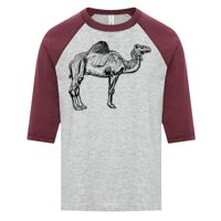 ATC EUROSPUN RING SPUN BASEBALL YOUTH TEE Thumbnail