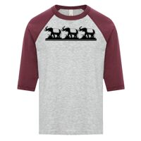 ATC EUROSPUN RING SPUN BASEBALL YOUTH TEE Thumbnail