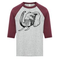 ATC EUROSPUN RING SPUN BASEBALL YOUTH TEE Thumbnail