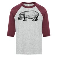 ATC EUROSPUN RING SPUN BASEBALL YOUTH TEE Thumbnail