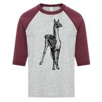 ATC EUROSPUN RING SPUN BASEBALL YOUTH TEE Thumbnail