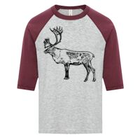 ATC EUROSPUN RING SPUN BASEBALL YOUTH TEE Thumbnail