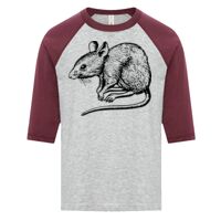 ATC EUROSPUN RING SPUN BASEBALL YOUTH TEE Thumbnail