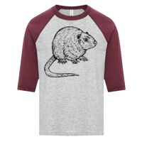 ATC EUROSPUN RING SPUN BASEBALL YOUTH TEE Thumbnail