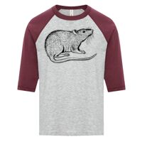 ATC EUROSPUN RING SPUN BASEBALL YOUTH TEE Thumbnail