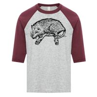 ATC EUROSPUN RING SPUN BASEBALL YOUTH TEE Thumbnail